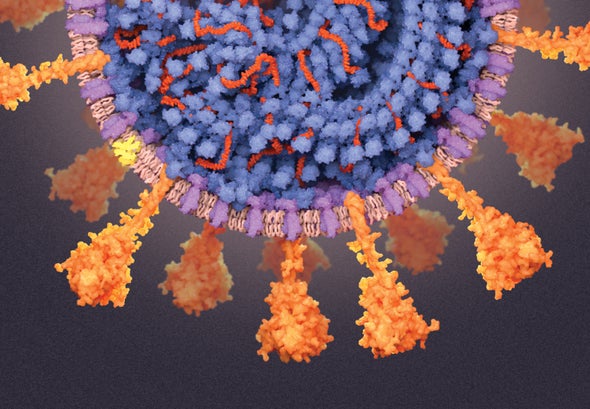 Close up of the coronavirus cell